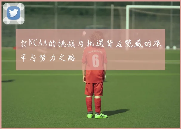 打NCAA的挑战与机遇背后隐藏的艰辛与努力之路
