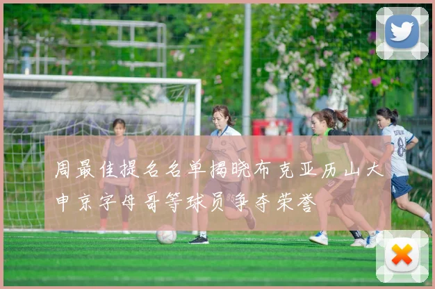 周最佳提名名单揭晓布克亚历山大申京字母哥等球员争夺荣誉