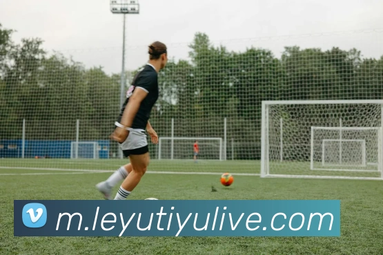 乐鱼体育平台生态图