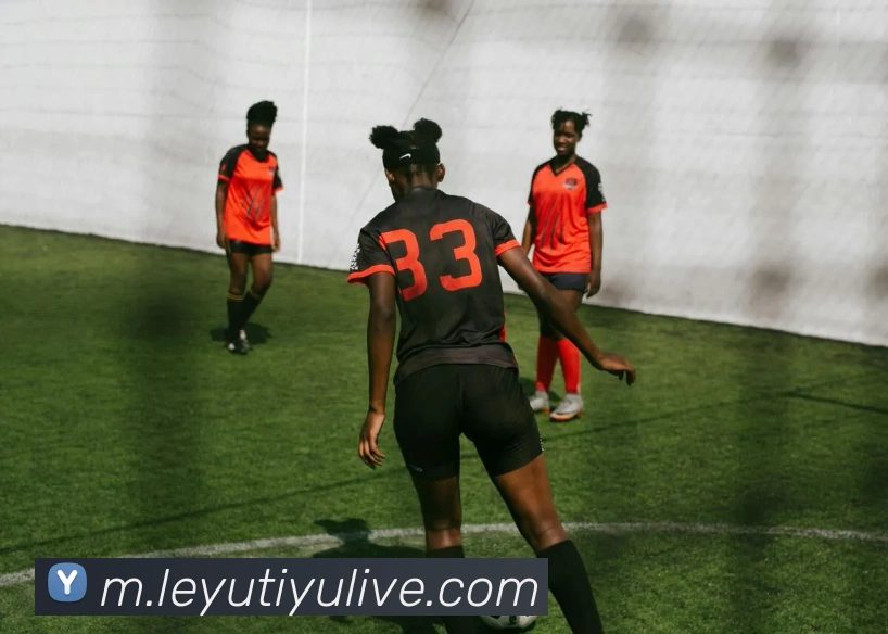 数据防护可视化